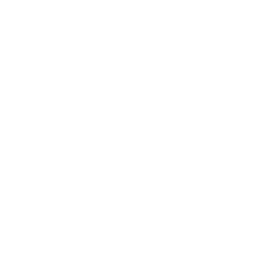 CHARTER FLIGHT